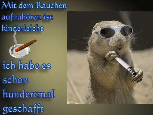 Lustige Raucherbilder Lustige Raucherbilder