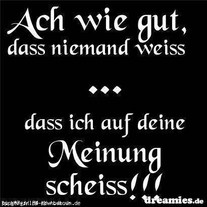 Sprüche Dumm Mach Sprüche Dumm Mach