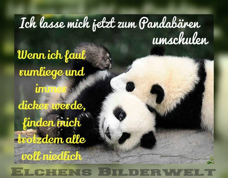 30++ Elchens bilderwelt tinchens traeume sprueche bilder info